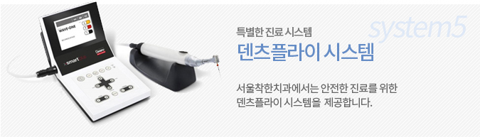 덴츠플라이 시스템